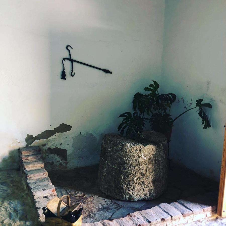Albergue Turistico La Almazara Villafranca de los Barros Exterior photo